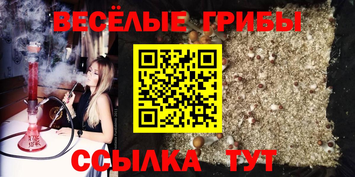 закладка  Псилоцибиновые грибы ЛСД  Псилоцибиновые грибы MAGIC MUSHROOMS  Вход с VPN  Ногинск 